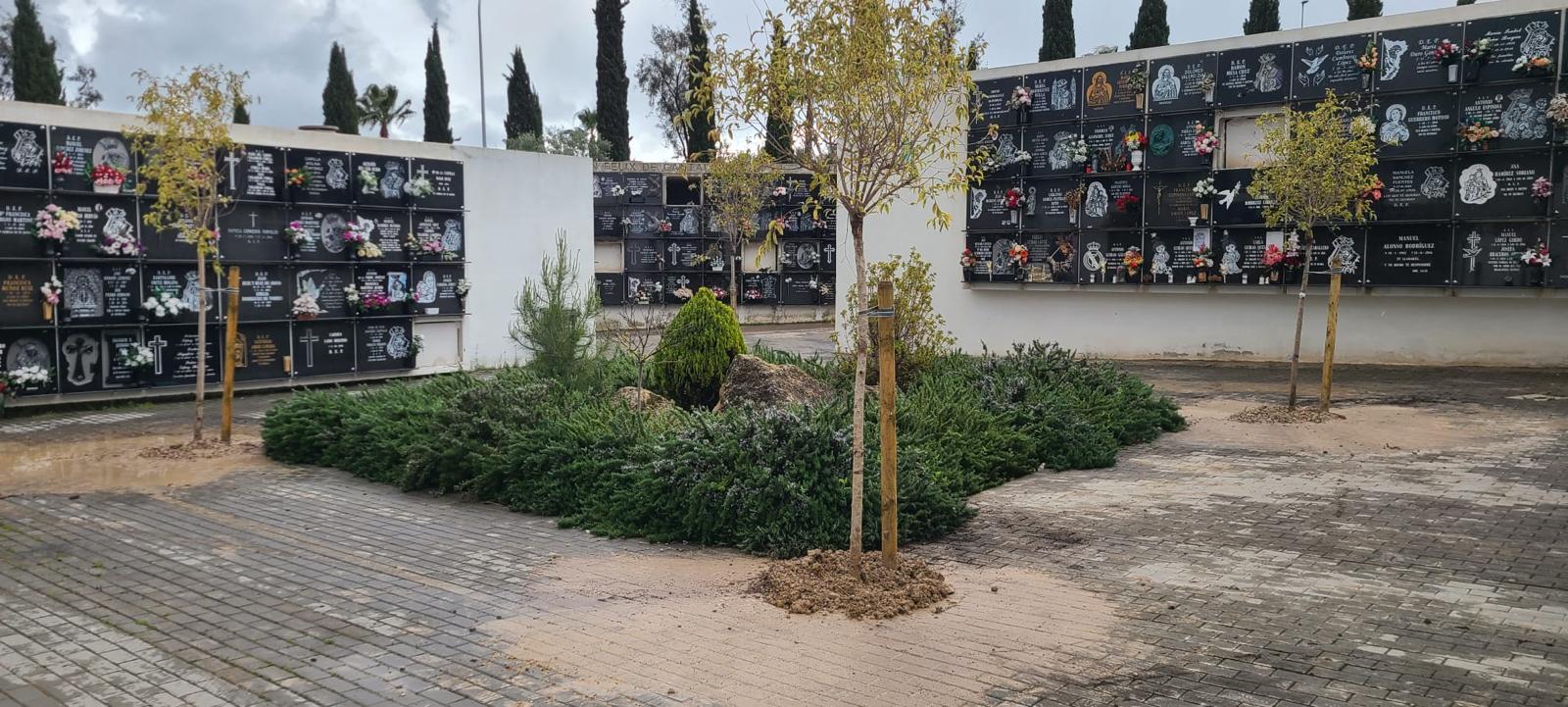 Cementerio de San Fernando de la capital.