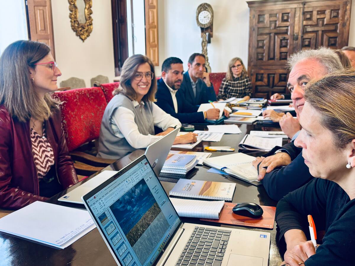 Nueva reunión de la Comisión de Cogobernanza del Plan Territorial de Tierra de Campos con el turismo como eje central