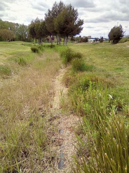 Otra parte del parque a mejorar, según la Asociación de Vecinos de la Avenida de Madrid