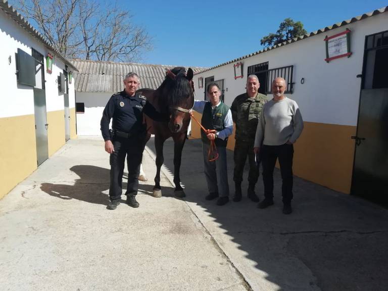 Archivo. Las instalaciones se encuentran en la Dehesa del Mercadillo y cuentan con boxes para treinta caballos, dos carpas, pistas e incluso una vivienda a disposición exclusiva del arrendador