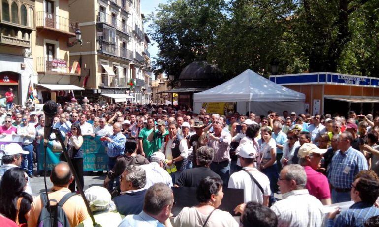 Concentración en Zocodover (Toledo) tras la manifestación