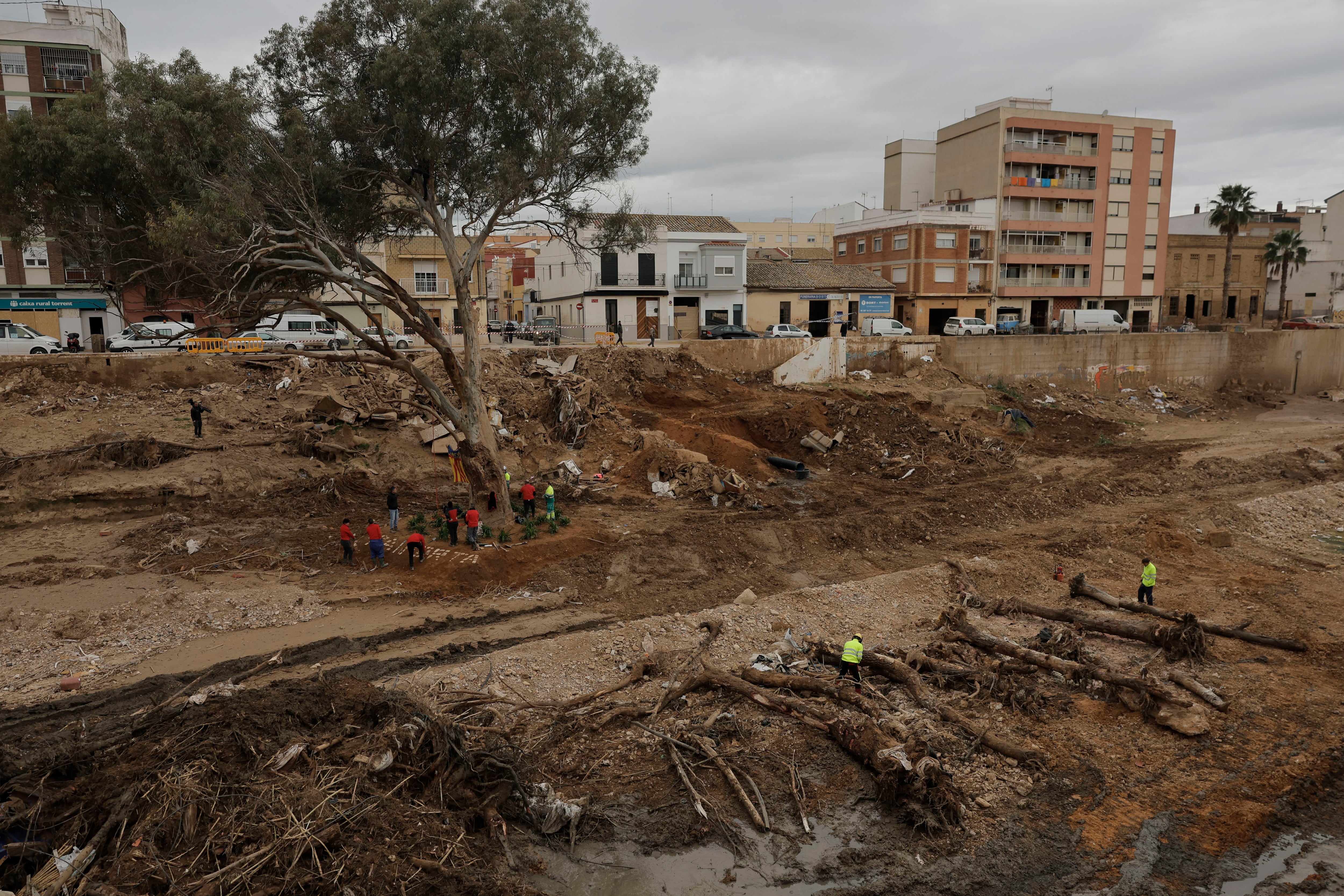 PAIPORTA (VALENCIA), 11/12/2024.- El árbol que sobrevivió en el barranco del Poyo. EFE/Kai Försterling