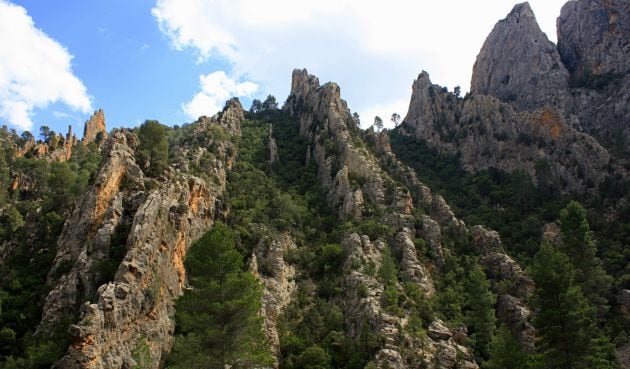 Reserva Natural de las Hoces del Cabriel.