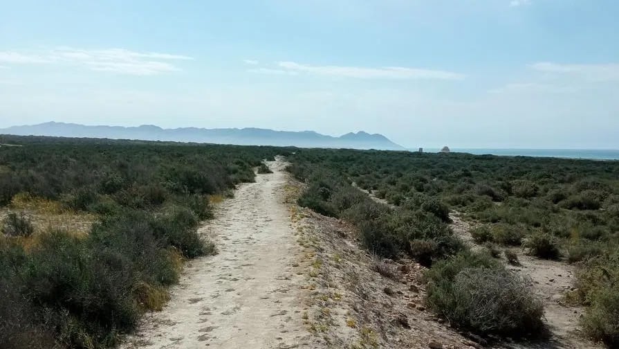 La Ciudad Deportiva del Almería se hará en El Toyo.