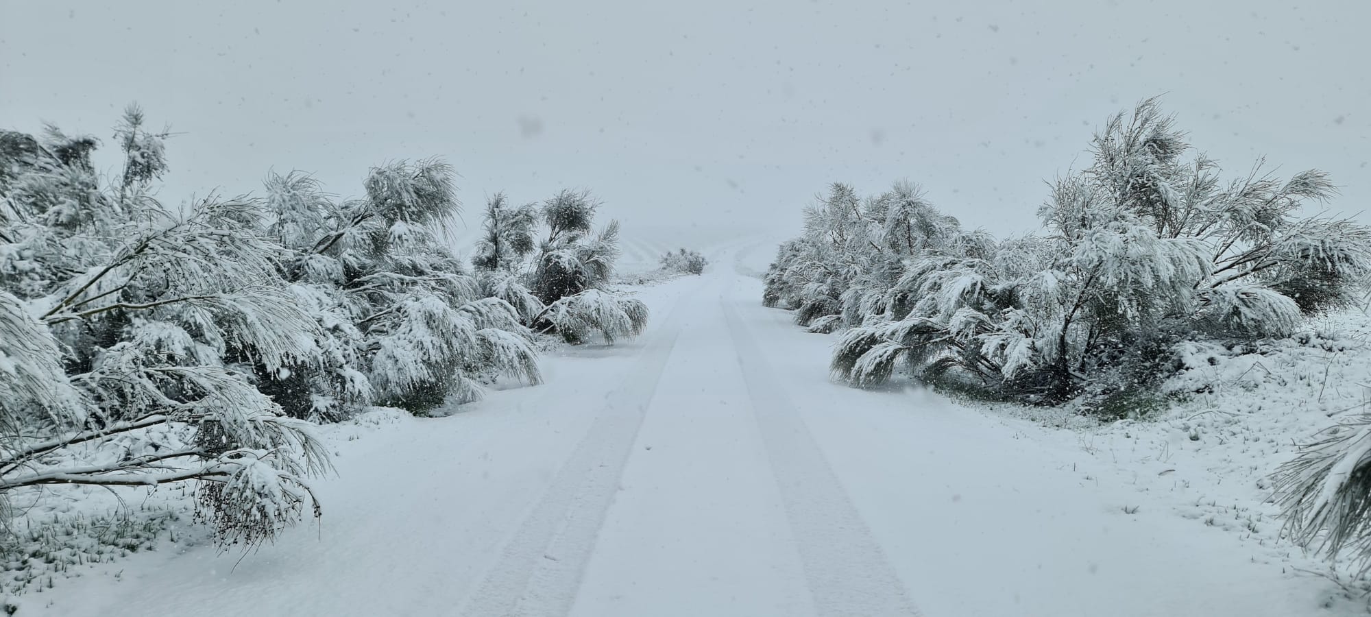 Nieve en el Noroeste de la Región de Murcia