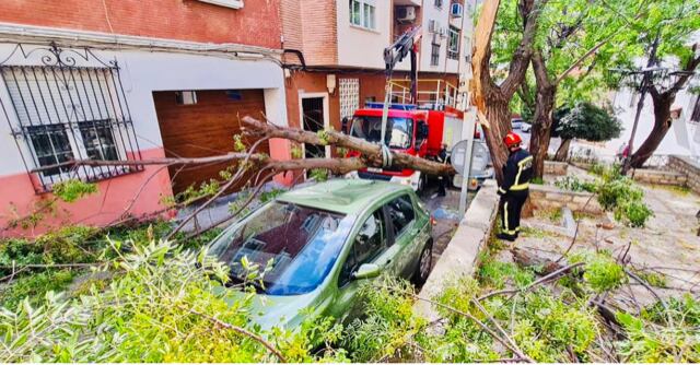 Los Bomberos de Jaén retiran un árbol caído sobre un vehículo en la capital.
