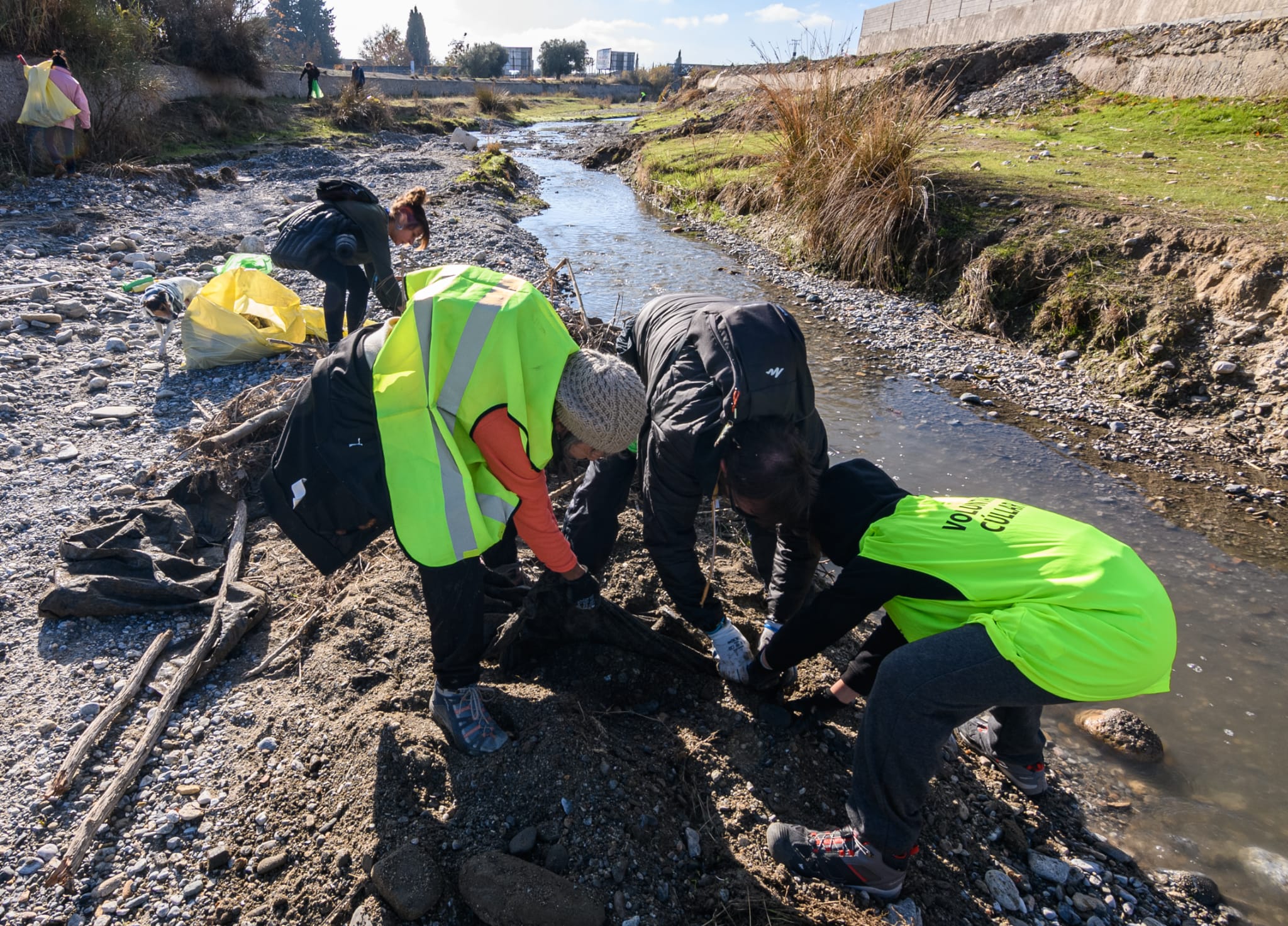 Limpieza cauce río