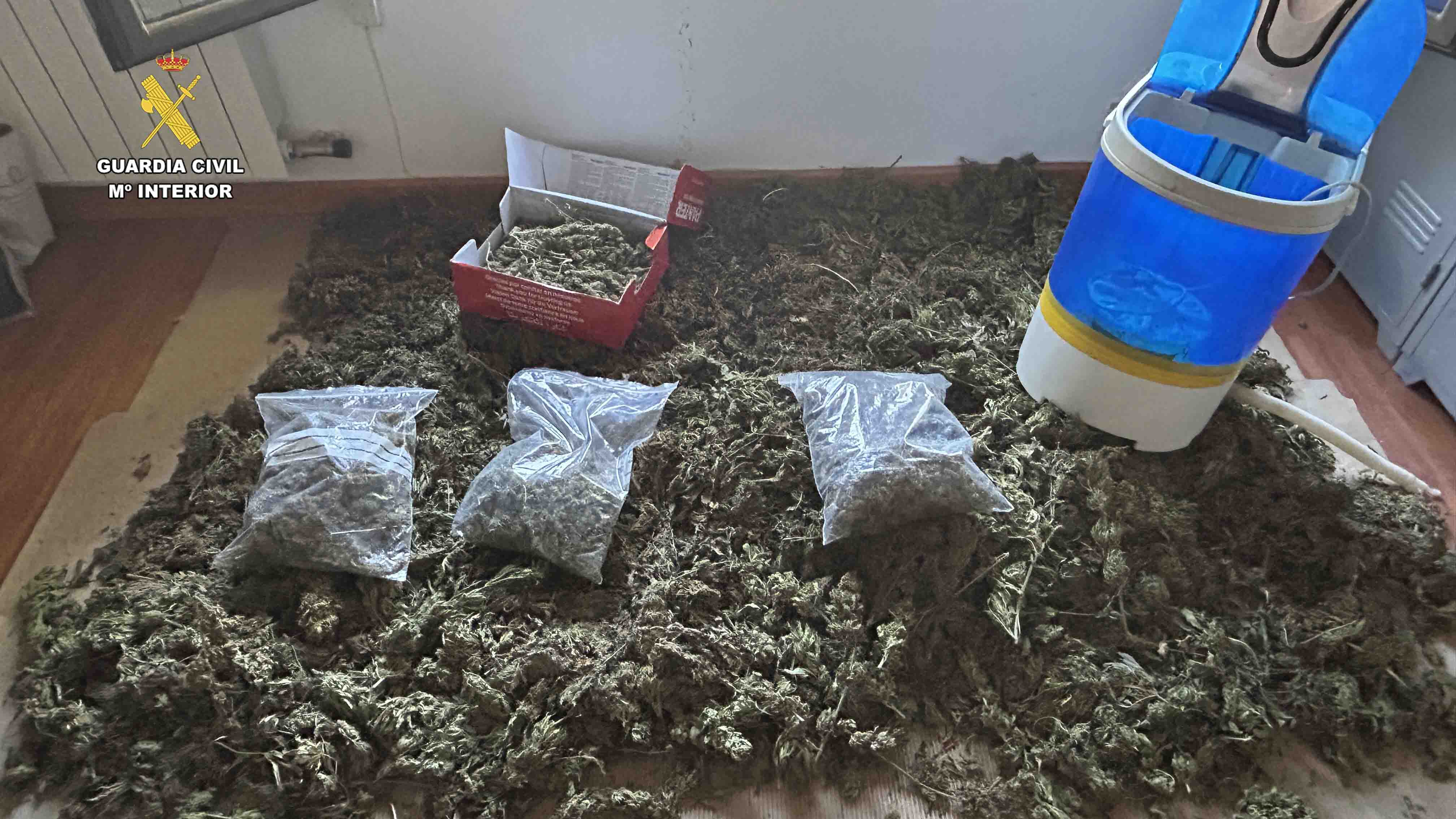 Un helicóptero de la Guardia Civil localiza en La Rioja una plantación de marihuana oculta entre tomates y maíz