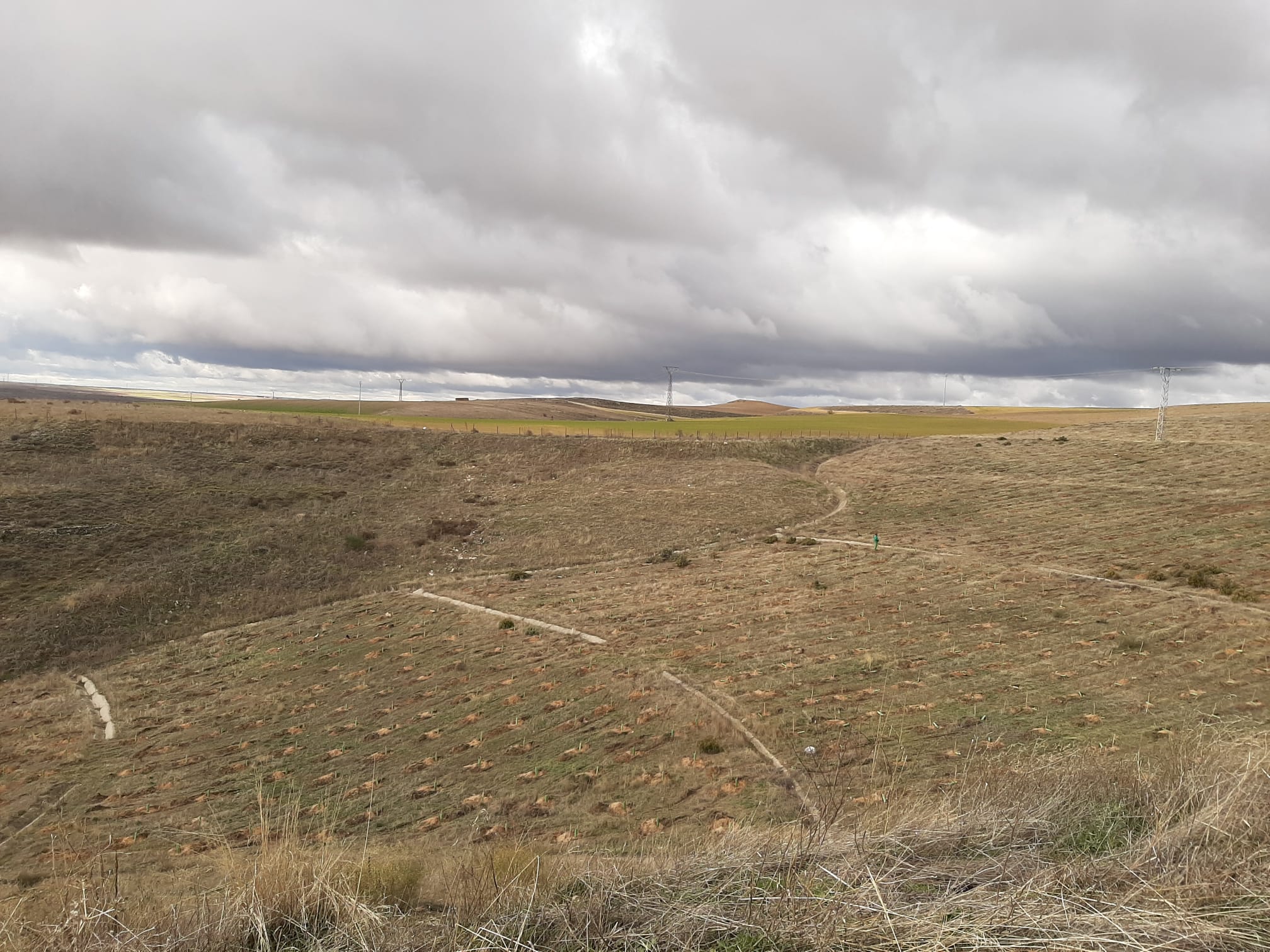 Zona del antiguo vertedero de El Peñigoso