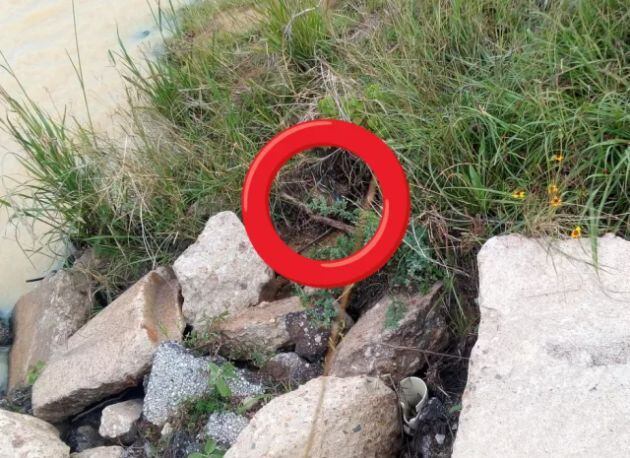 El pato está escondido en el centro de la imagen.