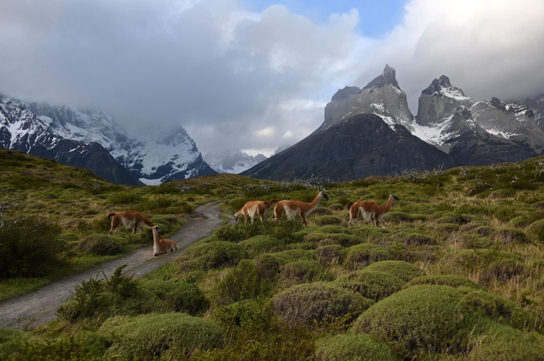 Panorámica de Torres del Paine, en la patagonia chilena. 