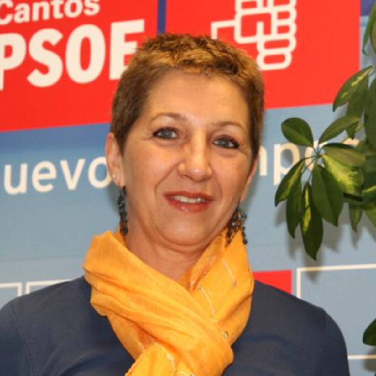 La mitad de las mociones son propuestas de los vecinos