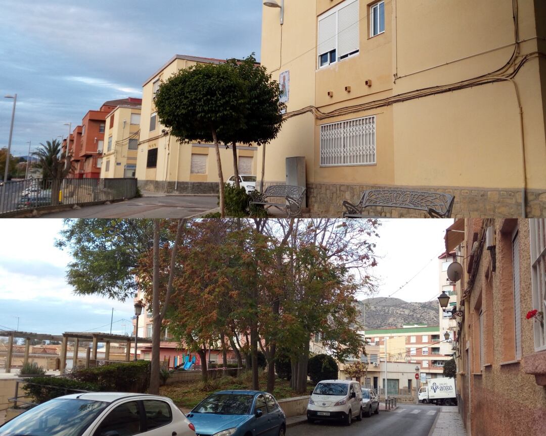 Imagen del barrio Virgen de la Salud y del barrio La Purísima de Elda