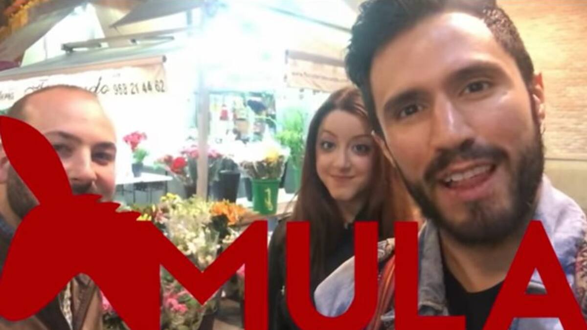 'Las Cruces en Murcia: los Mayos'