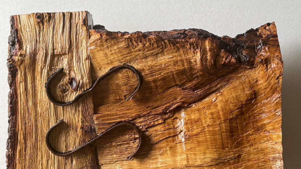 Francisco Gestal presenta su exposición ‘Breves bellezas muertas’ en la Casa de los Periodistas