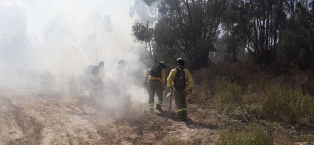 Miembros del Infoca trabajando en la extinción de un incendio. Foto de archivo.