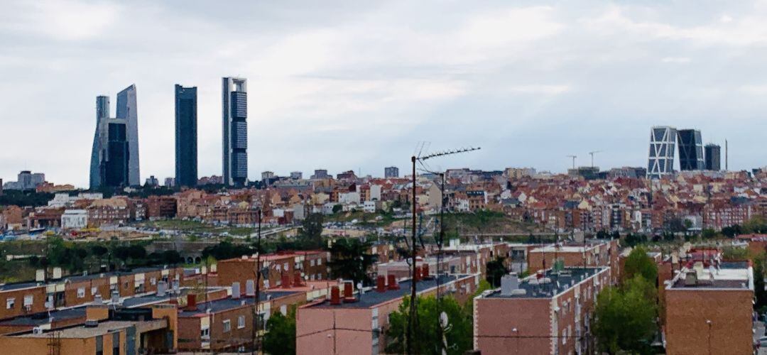 El silencio en las calles parece acercarnos más a la vida animal que transcurre en las grandes urbes