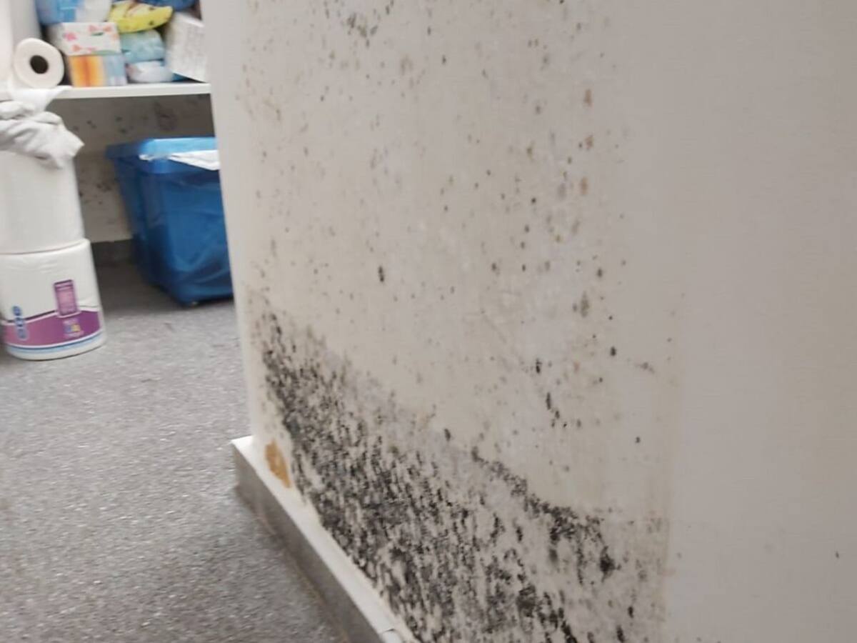 Cerrado el colegio Petra Sánchez Rollán de Los Alcázares por estar sus paredes llenas de moho