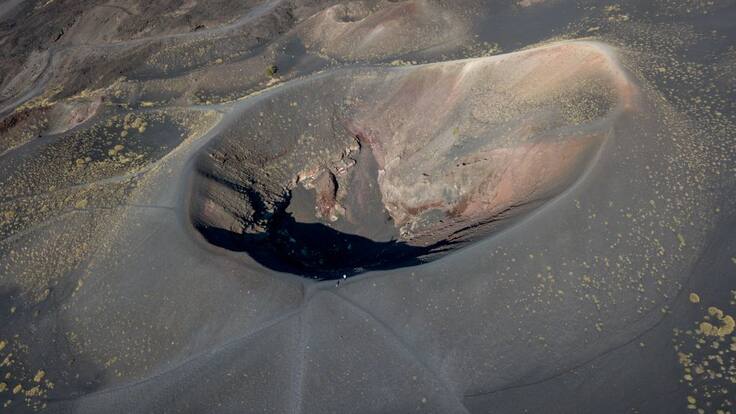 La especie 'intraterrestre' que habita en el centro de la tierra