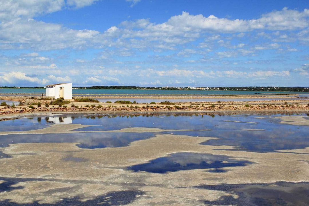 Imagen del parque natural de Ses Salines