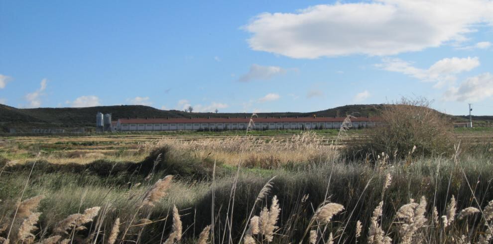 Instalaciones de una granja