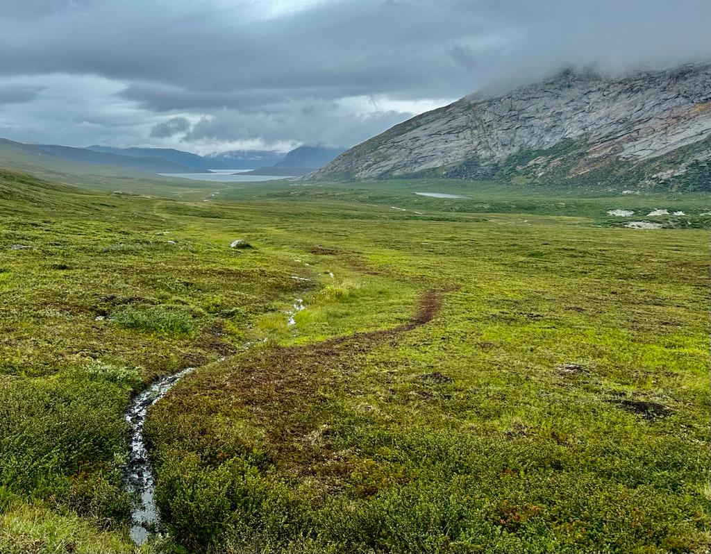 Imagen de la tundra ártica de esta zona de Groenlandia