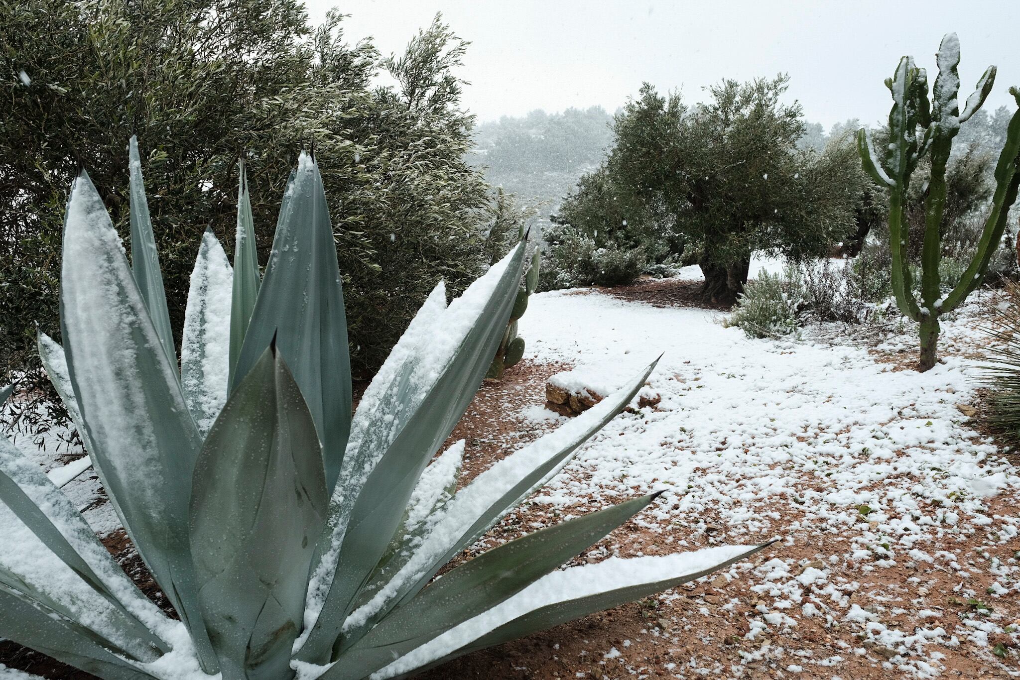 SANT JOAN (IBIZA), 27/02/2023.- Nieve en la localidad de Sant Joan, Ibiza, a 300 metros sobre el nivel del mar, este lunes, jornada marcada por el paso de la borrasca Juliette, que trae nieve y bajas temperaturas. EFE/ Sergio G. Canizares
