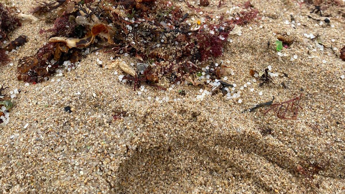 La Xunta admite en una carta que conocía el vertido de pellets a 21 de diciembre