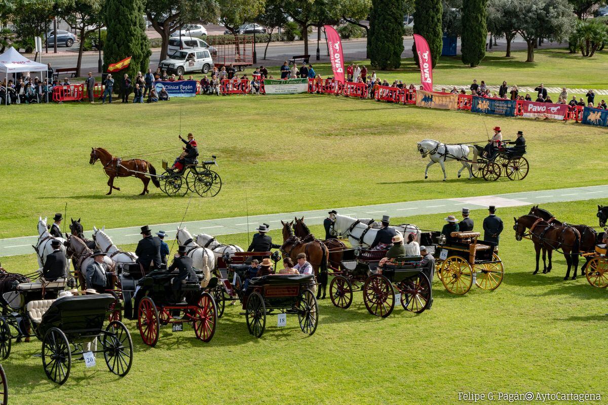 Concurso Nacional de Enganches Cartagena