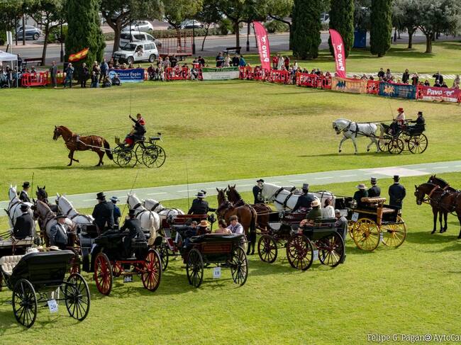 Concurso Nacional de Enganches Cartagena
