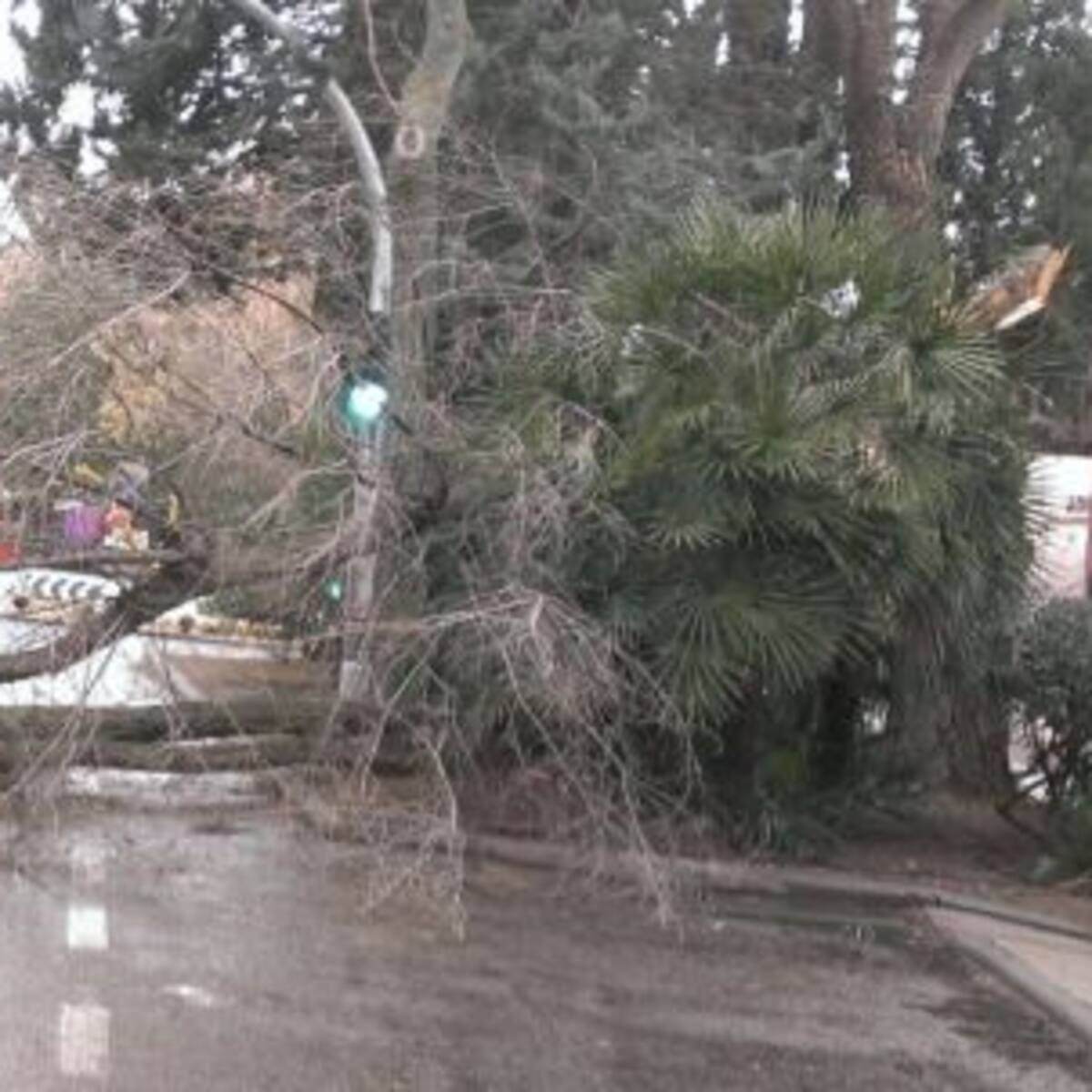 El viento deja huella en la provincia