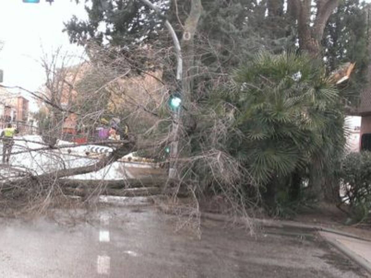 El viento deja huella en la provincia