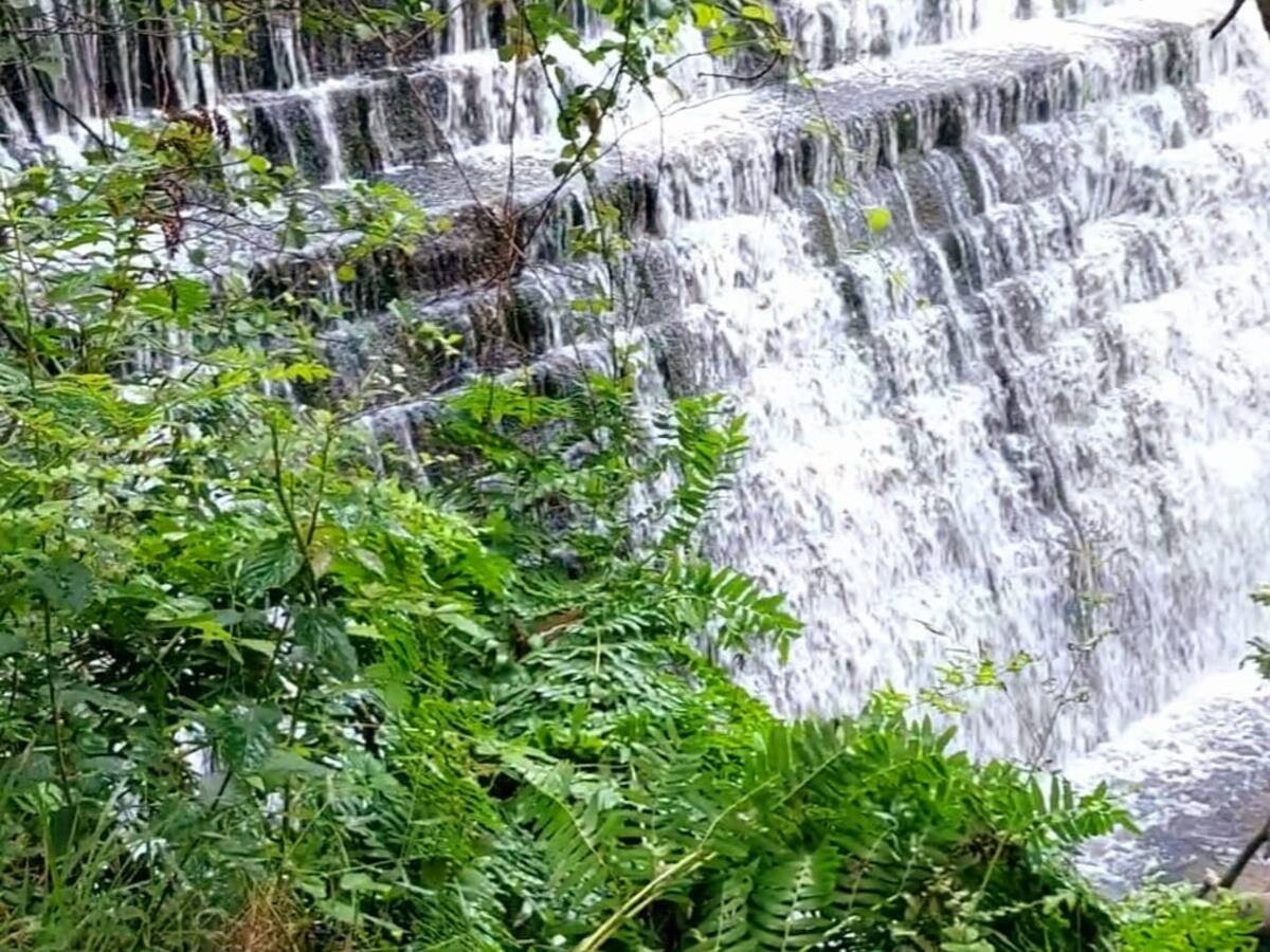 Un paseo para enamorarse en Sargadelos
