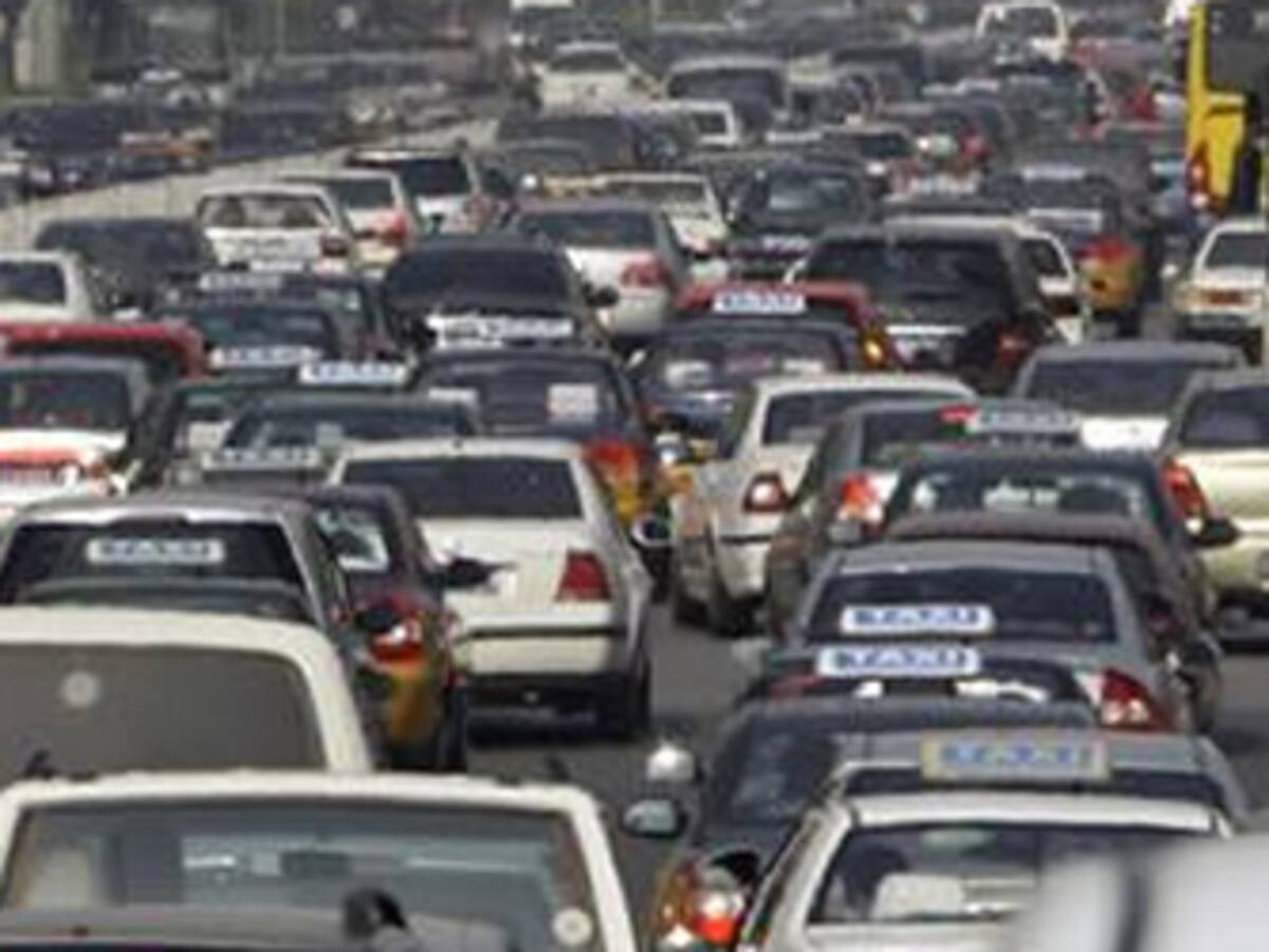 Aquest any tornaran a créixer els embussos