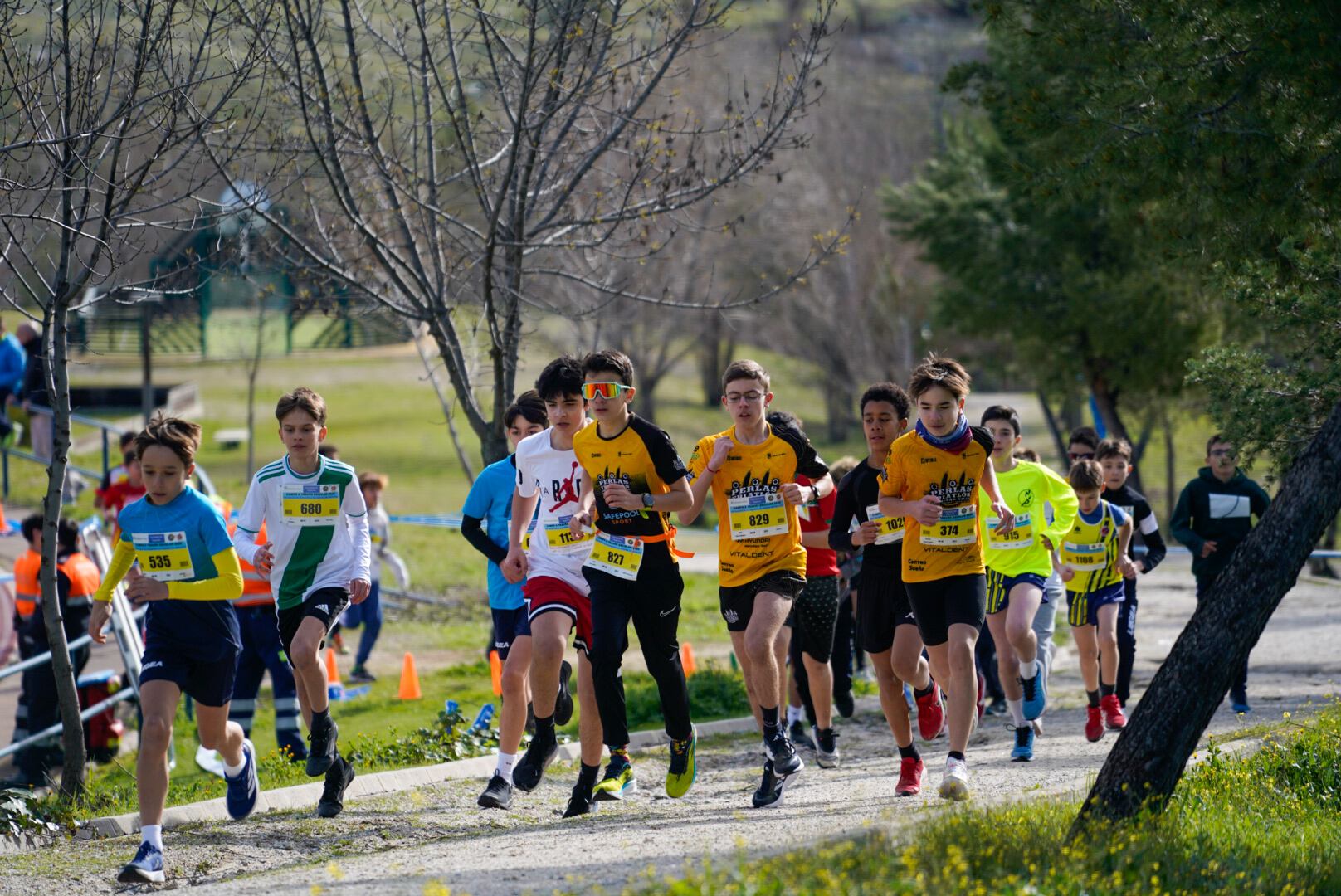 Cross Escolar de Colmenar Viejo