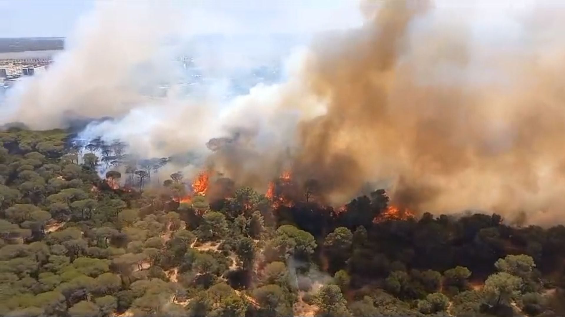 Imágenes del incendio en Puerto Real (Cádiz) cedidas por el Consorcio de Bomberos de Cádiz.