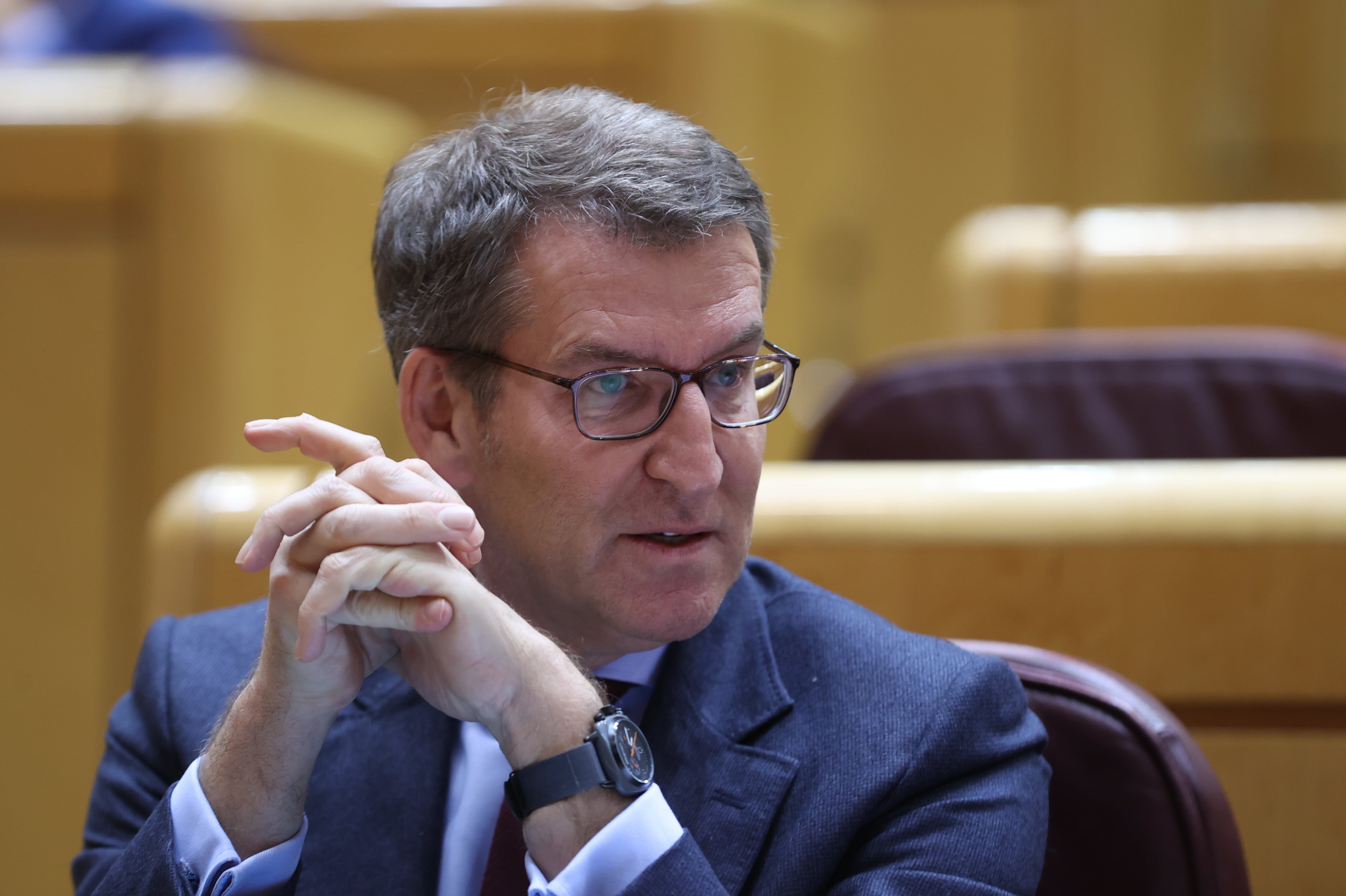 El líder del PP, Alberto Núñez Feijóo, durante un pleno del Senado. Archivo.