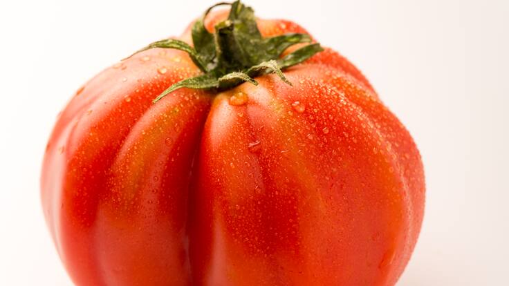 La llavor (16-03-2024)