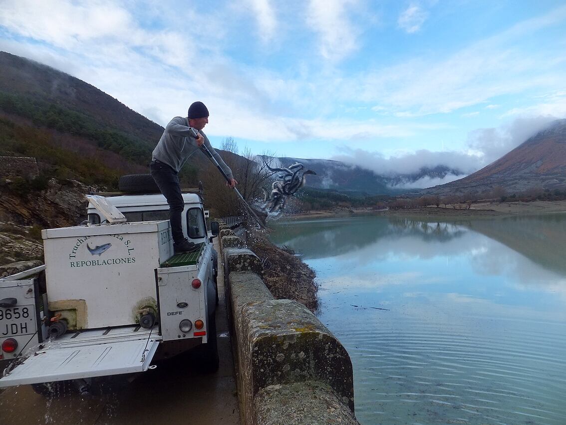 Tras varios meses se ha repoblado de nuevo el embalse de Arguis con truchas arco iris