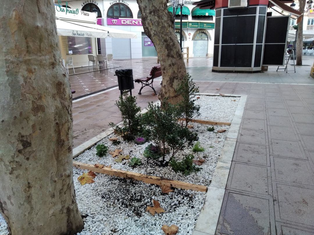 Imagen de los parterres.