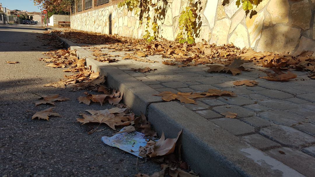 Papeles y hojas en una calle de Cabanillas