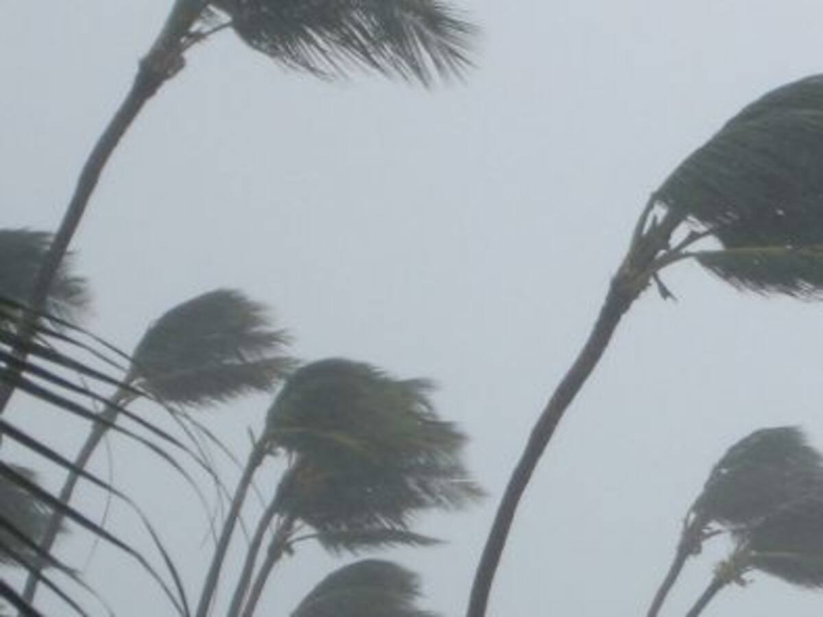 Alerta por el temporal de viento en la Región