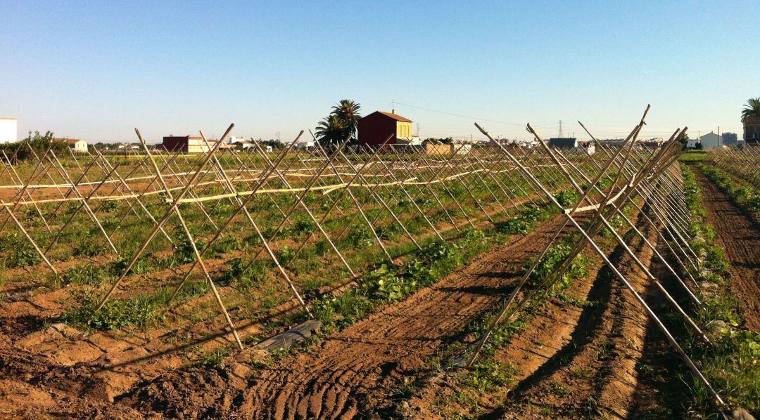 La huerta de València