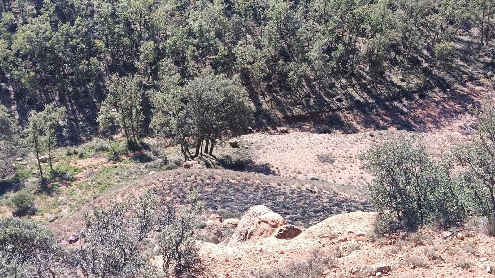 Lugar donde se ha estrellado un caza F-18 del Ejército del Aire en Peralejos (Teruel).