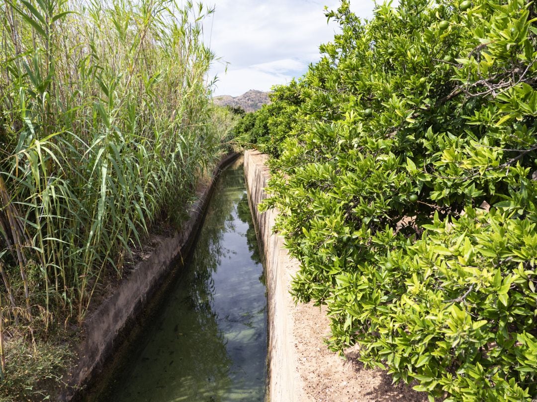 Foto de archivo de una acequia valenciana