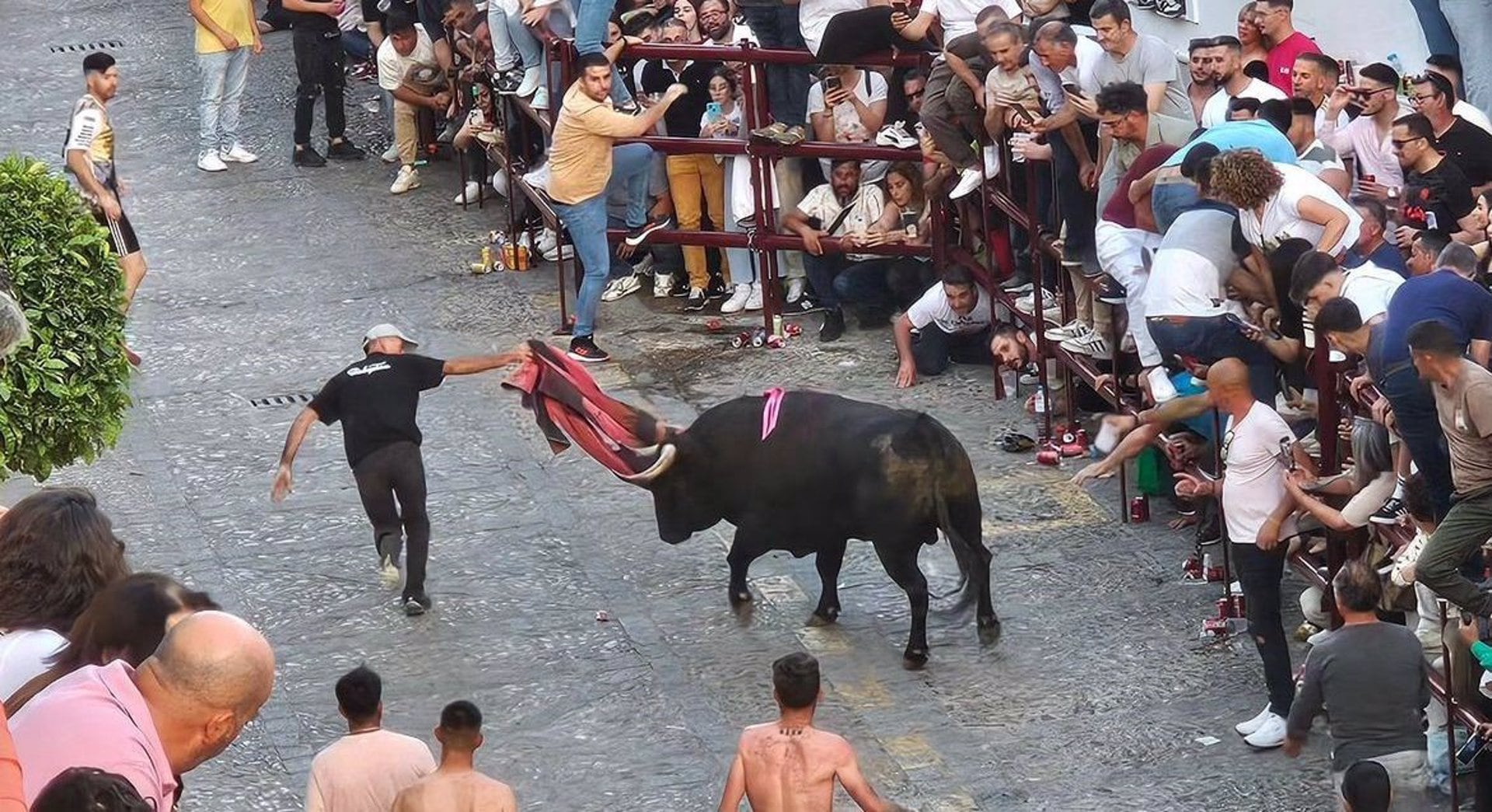 Festividad del Toro del Aleluya de Arcos de la Frontera