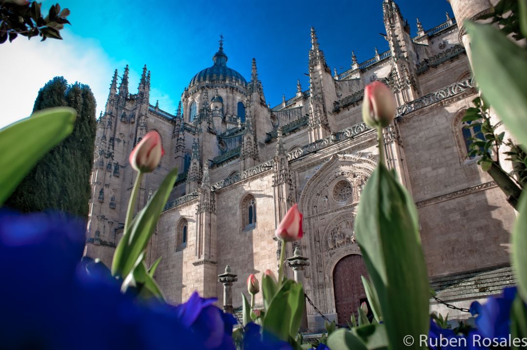 Catedral de Salamanca