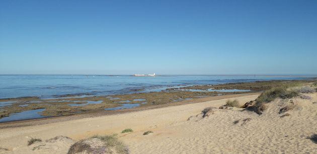 Castillo de Sancti Petri desde la playa de Lavaculos