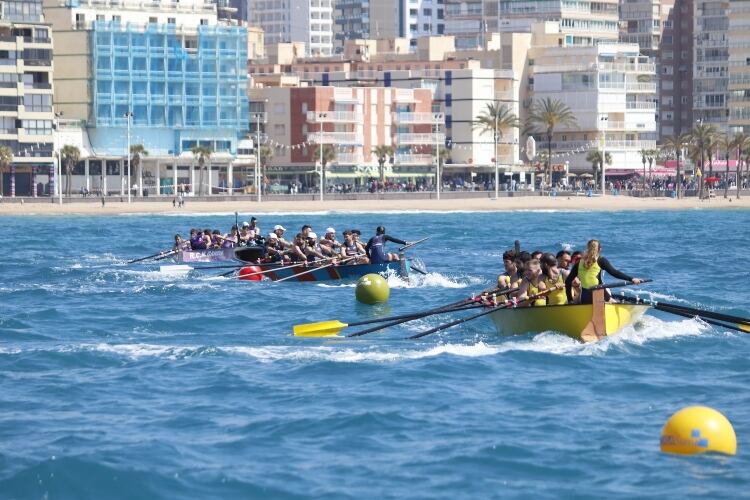 Las embarcaciones de remo volverán a tomar la bahía de Benidorm