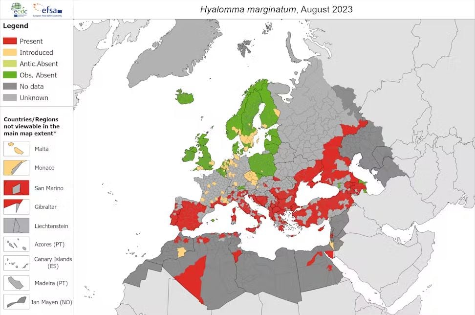 Distribución de la garrapata &#039;Hyalomma marginatum&#039; en Europa